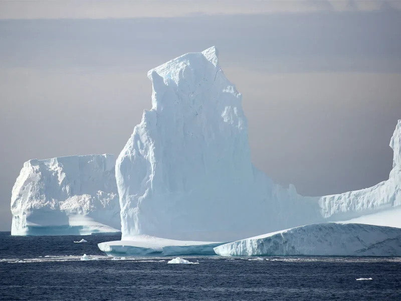 The discovery of Antarctica, the 6th continent