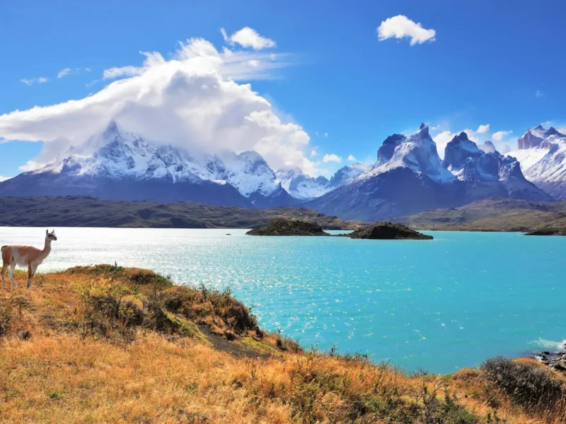 Patagonia, the last refuge