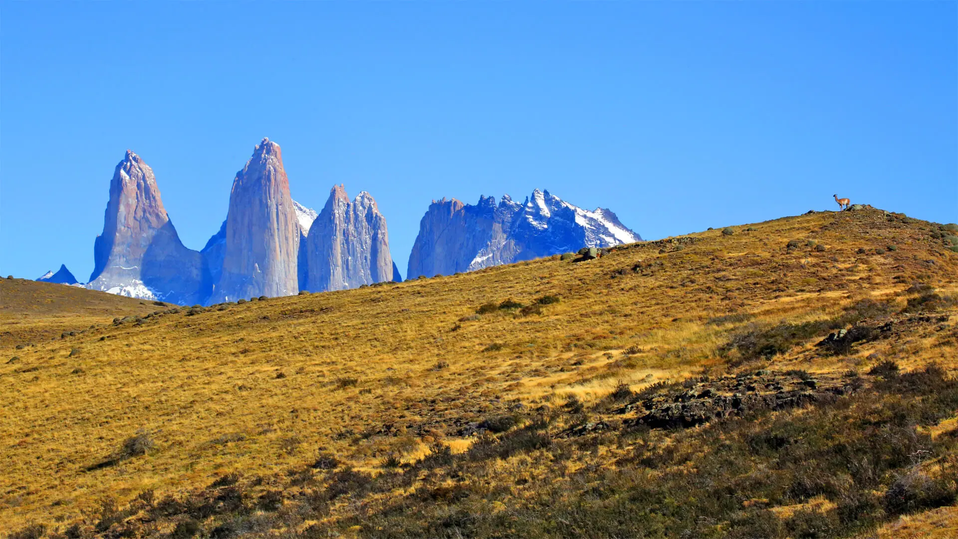 Torres del Paine et les steppes patagoniennes