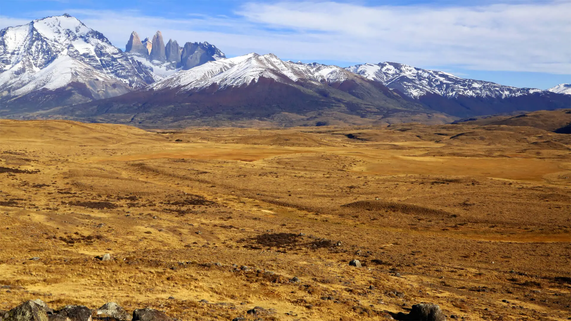Steppe de Patagonie devant le massif Torres del Paine